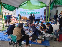 Idul Adha 1445 H, Pegadaian Kanwil Makassar Potong & Bagikan 107 Ekor Hewan Qurban