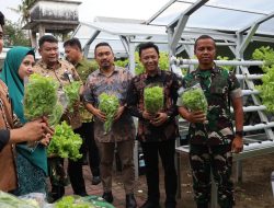 Dinas Ketahanan Pangan Makassar Dorong Kemandirian Pangan Lorong Wisata melalui Pengembangan KWT