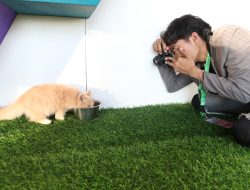 Fotografi Fauna di Event F8: Tantangan dan Keindahan yang Tak Terlupakan