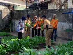 Ketua TP PKK Kota Makassar Apresiasi Lorong Wisata Frankfurt dan Izurza