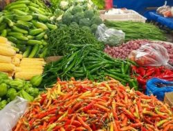 Update Perkembangan Informasi Harga Komoditi Pertanian Pekan IV November 2025 DP2 Kota Makassar