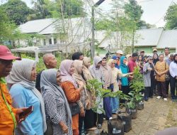 DP2 Makassar Serahkan Bantuan Bibit Alpukat Varietas Miki Dalam Program Urban Farming