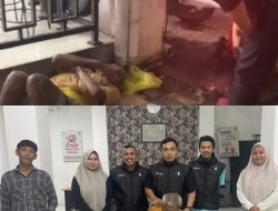 Dinsos Makassar Tindaklanjuti Laporan Warga Melalui Lontara+, Terkait Lansia Terlantar