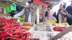 Cek Harga Pangan di Pasar Terong, Dirut Bulog Pastikan Sesuai HET dan HAP