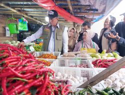 Cek Harga Pangan di Pasar Terong, Dirut Bulog Pastikan Sesuai HET dan HAP