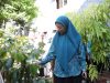 Melinda Aksa Tinjau Kebun Aku Hatinya PKK di Ujung Pandang, Dorong Kemandirian Pangan Keluarga