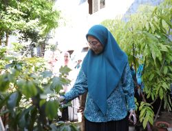 Melinda Aksa Tinjau Kebun Aku Hatinya PKK di Ujung Pandang, Dorong Kemandirian Pangan Keluarga