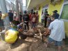 Melalui Qurban, Perumda Pasar Makassar Tebarkan Kebahagiaan untuk Warga dan Pegawai