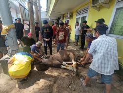 Melalui Qurban, Perumda Pasar Makassar Tebarkan Kebahagiaan untuk Warga dan Pegawai