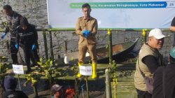 Kolaborasi Lestarikan Pesisir, 7.000 Bibit Mangrove Ditanam di Untia