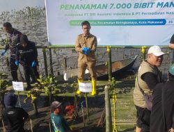 Kolaborasi Lestarikan Pesisir, 7.000 Bibit Mangrove Ditanam di Untia