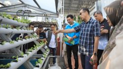 Sekda Makassar Tinjau Finalisasi Persiapan Lomba Kelurahan, Fokuskan Pembenahan Indikator Penilaian