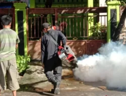 Banyak Nyamuk Bukan Alasan Fogging, Dinkes Makassar Tegaskan Syarat Ketat Lewat Aplikasi Lontara Plus