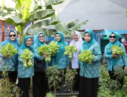 TP PKK Makassar Tinjau Kebun Aku Hatinya PKK di 15 Kecamatan